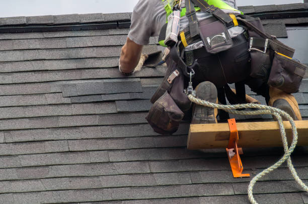 Best Roof Moss and Algae Removal  in Rochelle, IL