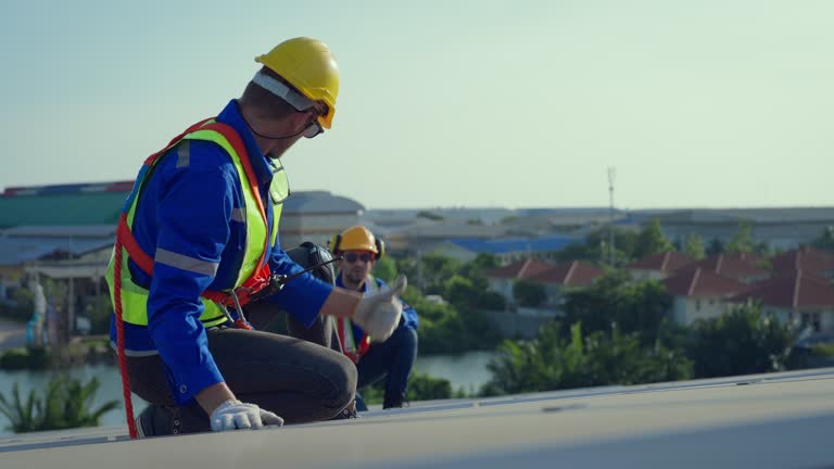 Best Steel Roofing  in Rochelle, IL